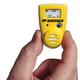 BW Technologies Gas Alert 100 Single Gas Monitor (H2S or CO)