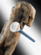 Dry Rot Sensor